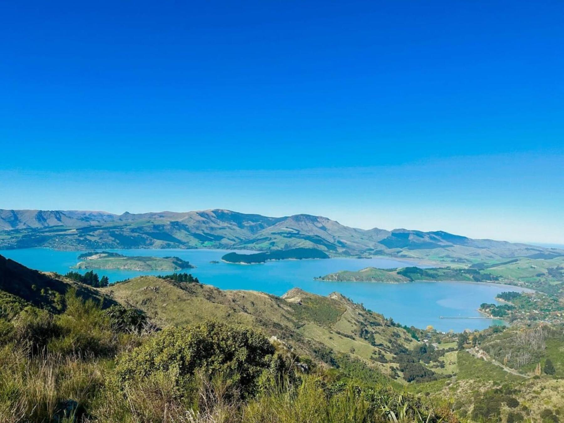 The Outlook By Tiny Away Villa Diamond Harbour Exteriör bild